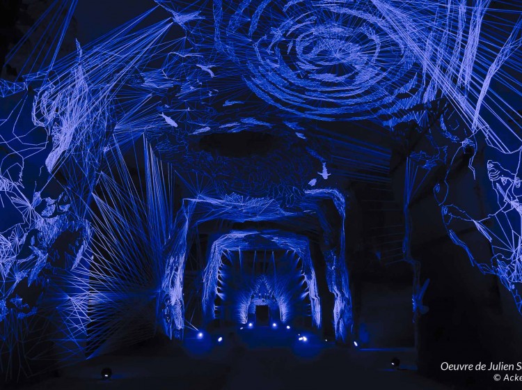 L'art dans les Caves Ackerman - 'Fleuve Céleste' de Julien Salaud