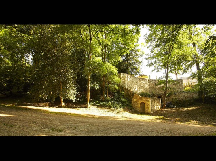 Fontenay-le-Comte : Parc Baron