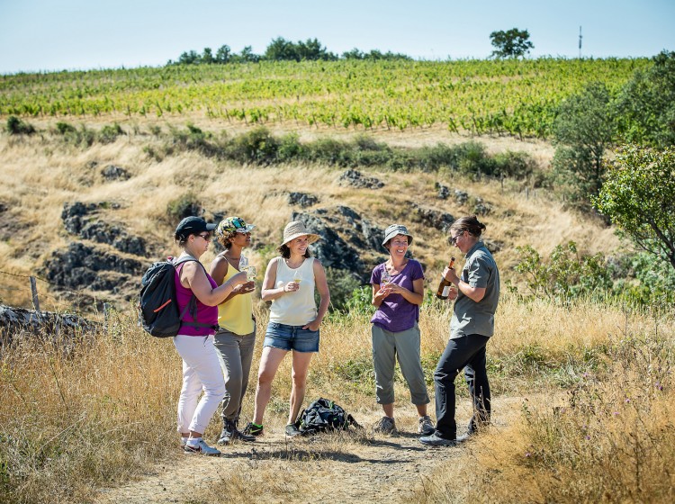Randonnée pédestre dans le vignoble du Layon avec Valérie Aubergeon, Les Vignes selon Val - Beaulieu-sur-Layon - Anjou