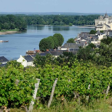Die ‚Loire à Vélo’ entdecken