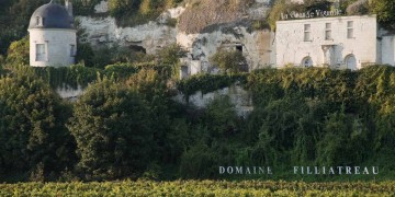 Besuchen Sie die Weinberge des Anjou-Saumur und entdecken Sie deren Kulturerbe!